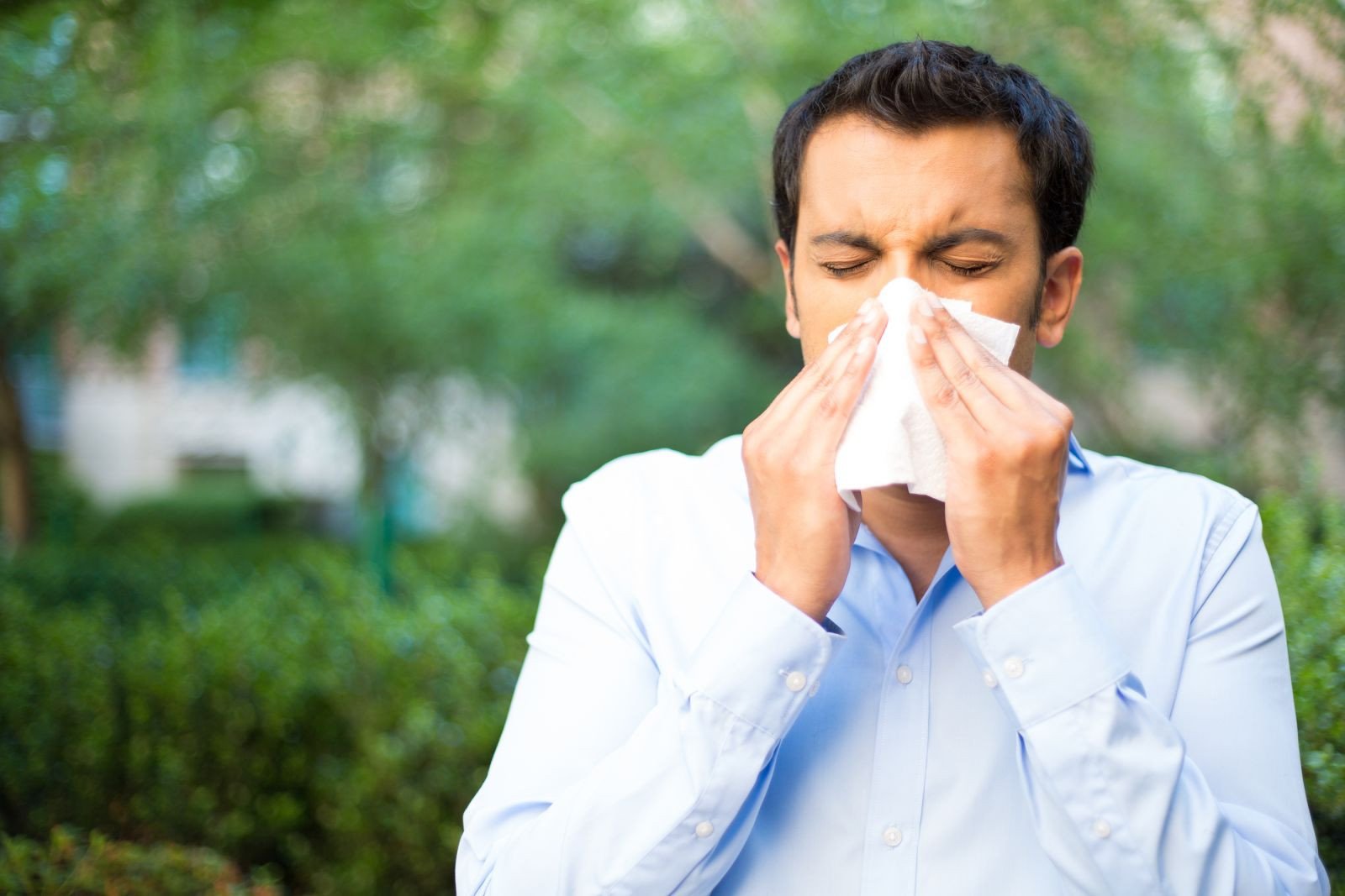 Understanding and Managing Allergies in Odessa FL