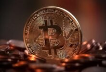 How to Choose the Right Wallet for Your Cryptocurrency Needs