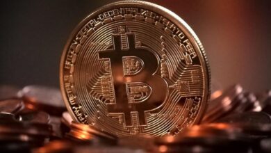 How to Choose the Right Wallet for Your Cryptocurrency Needs