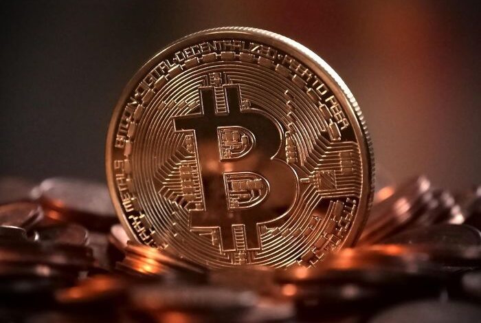 How to Choose the Right Wallet for Your Cryptocurrency Needs