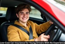 Low-Cost Car Insurance for Young Drivers With No Experience