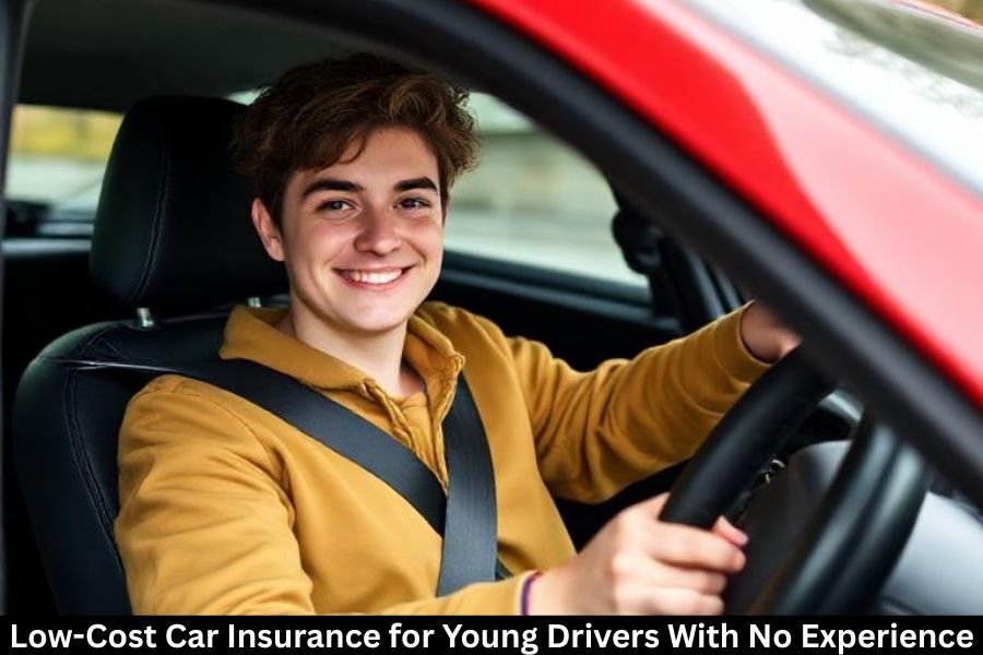 Low-Cost Car Insurance for Young Drivers With No Experience